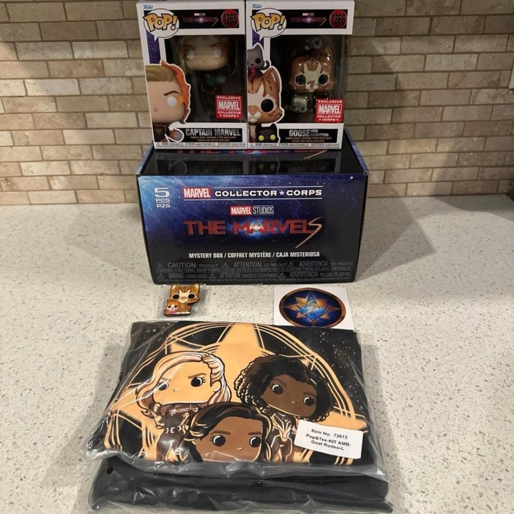 Marvel Collector Corps Mystery Box Opened. Captain Marvel Goose With Kittens g4